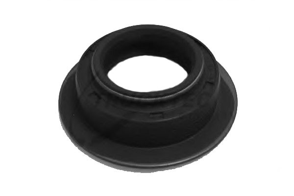 Oil Seal